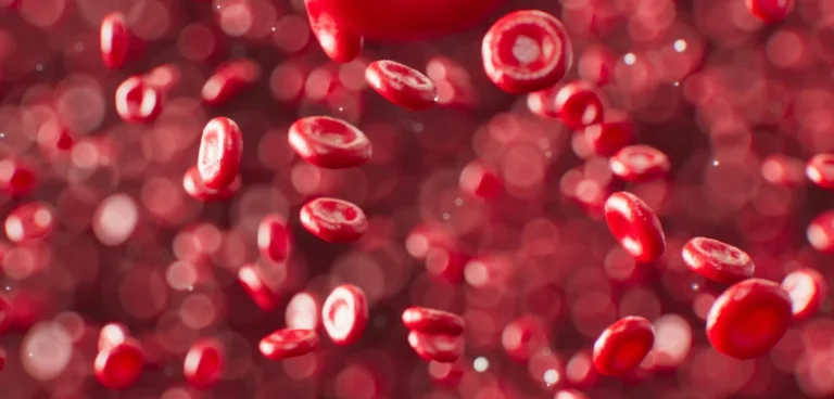 Blood Glucose Maintenance