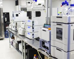 Lab-1.jpg
