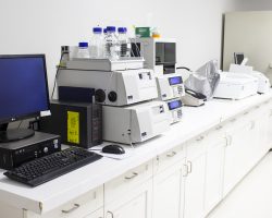 Lab-2.jpg